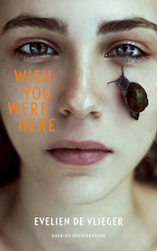 Wish you were here - Evelien de Vlieger (ISBN 9789045120966)