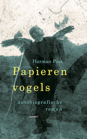 Mobilisatie, sociale strijd en de modernisering van de arbeidsverhoudingen in Nederland - Herman Post (ISBN 9789463386548)