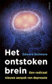 Het ontstoken brein - Edward Bullmore (ISBN 9789044638851)