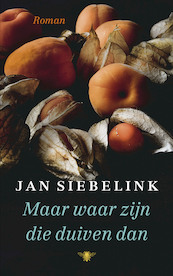 Maar waar zijn die duiven dan - Jan Siebelink (ISBN 9789403183008)