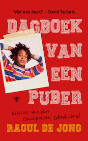 Dagboek van een puber - Raoul de Jong (ISBN 9789403110905)