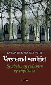 Versteend verdriet - Jaap Veld, Lex Van Der Vliet (ISBN 9789464620672)