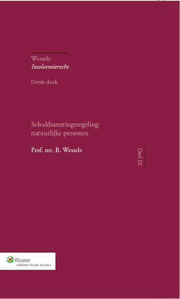 Schuldsaneringsregeling natuurlijke personen - B. Wessels (ISBN 9789013077063)