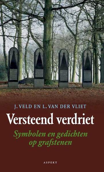 Versteend verdriet - Jaap Veld, Lex Van Der Vliet (ISBN 9789464620672)