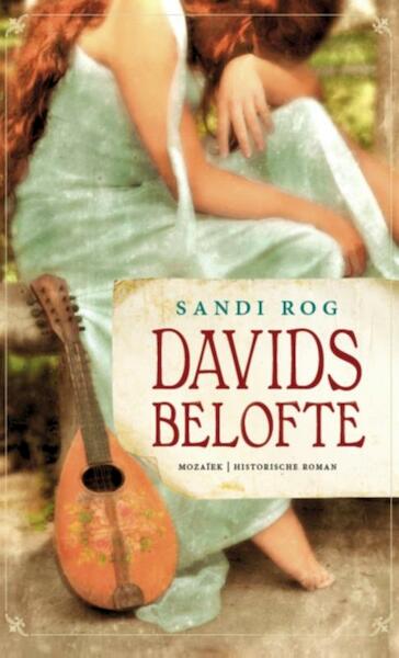 Davids belofte - Sandi Rog (ISBN 9789023930303)