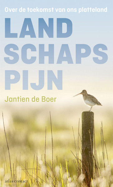 Landschapspijn - Jantien de Boer (ISBN 9789045033914)