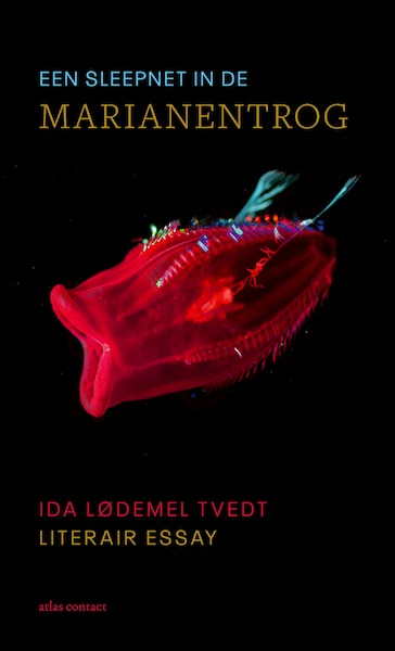 Een sleepnet in de Marianentrog - Ida Lødemel Tvedt (ISBN 9789045043128)