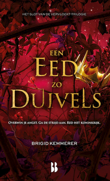 Een eed zo duivels - Brigid Kemmerer (ISBN 9789463493055)