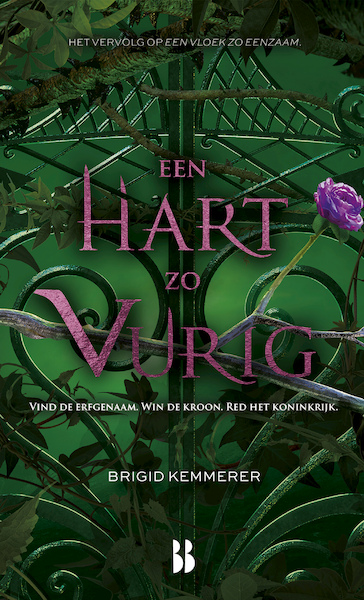 Een hart zo vurig - Brigid Kemmerer (ISBN 9789463494113)