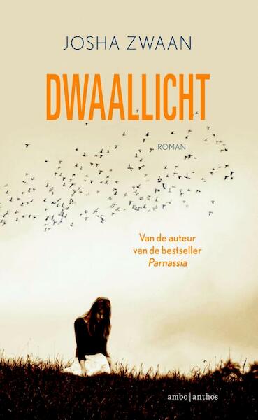 Dwaallicht - Josha Zwaan (ISBN 9789026330667)