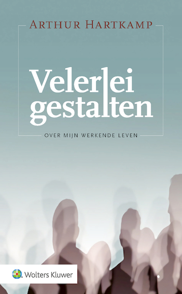 Velerlei gestalten - Arthur Hartkamp (ISBN 9789013158014)