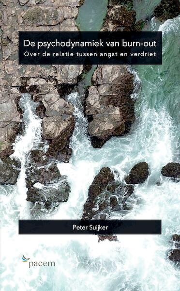 De psychodynamiek van burn-out - Peter Suijker (ISBN 9789464062045)