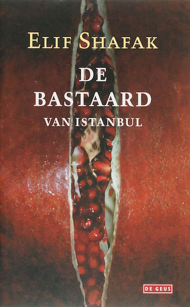 De bastaard van Istanbul - E. Shafak (ISBN 9789044509731)