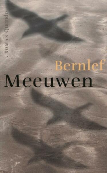 Meeuwen - Bernlef (ISBN 9789021443508)