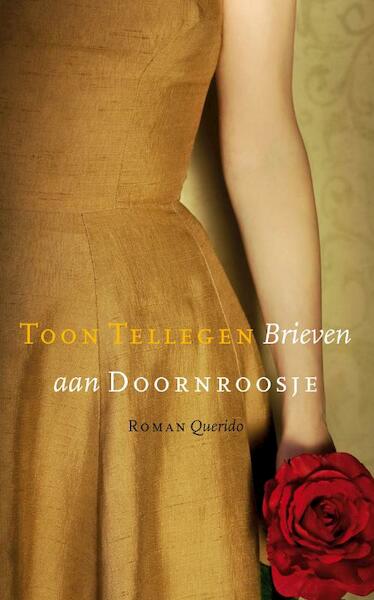Brieven aan Doornroosje - Toon Tellegen (ISBN 9789021440514)
