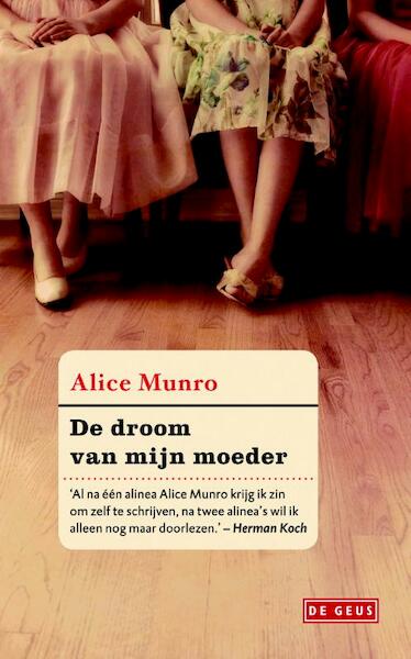 Handboek van de duisternis - Alice Munro (ISBN 9789044522228)