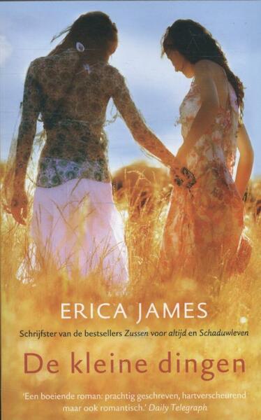 De kleine dingen - Erica James (ISBN 9789032514532)
