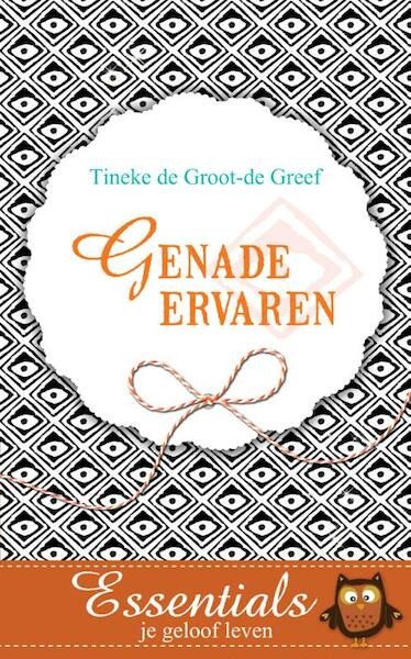 Genade ervaren - Tineke de Groot - de Greef (ISBN 9789023928195)