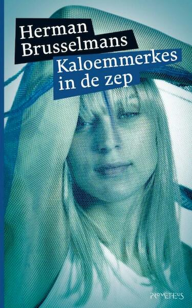 Kaloemerkes in de zep - Herman Brusselmans (ISBN 9789044619348)