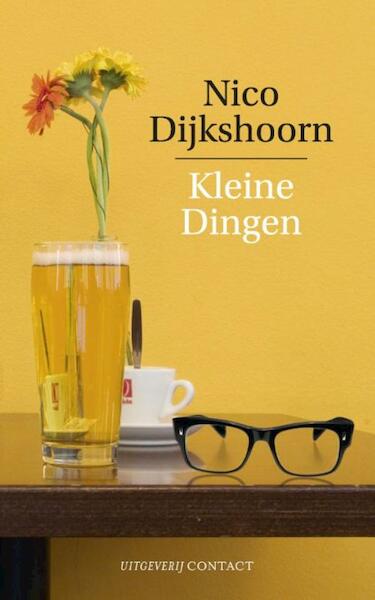 Kleine dingen - Nico Dijkshoorn (ISBN 9789025436919)