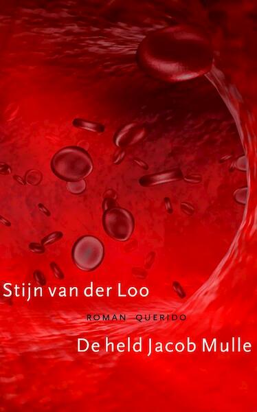 De held Jacob Mulle - Stijn van der Loo (ISBN 9789021442297)