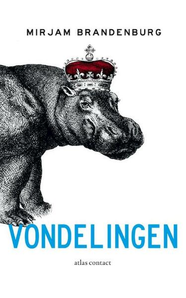 Vondelingen - Mirjam Brandenburg (ISBN 9789025439774)