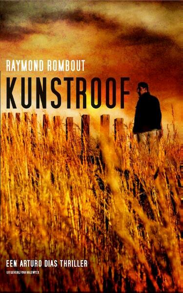 Kunstroof - Raymond Rombout (ISBN 9789461311245)