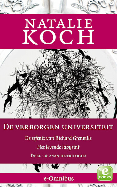De verborgen universiteit / 1 en 2 - Natalie Koch (ISBN 9789021446448)