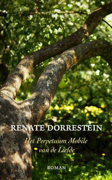 Het perpetuum mobile van de liefde - Renate Dorrestein (ISBN 9789490647032)
