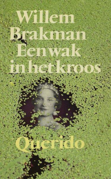 Een wak in het kroos - Willem Brakman (ISBN 9789021444123)