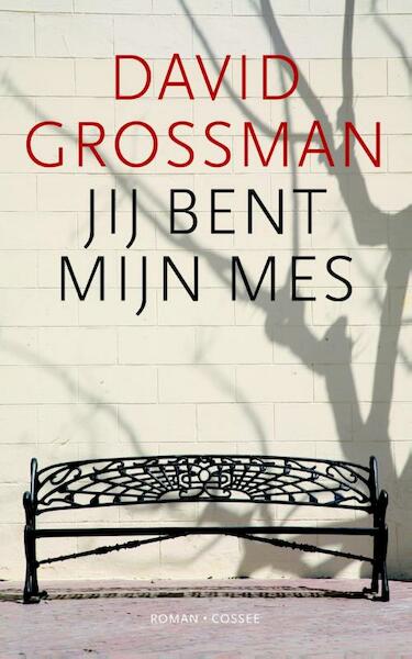 Jij bent mijn mes - David Grossman (ISBN 9789059364400)