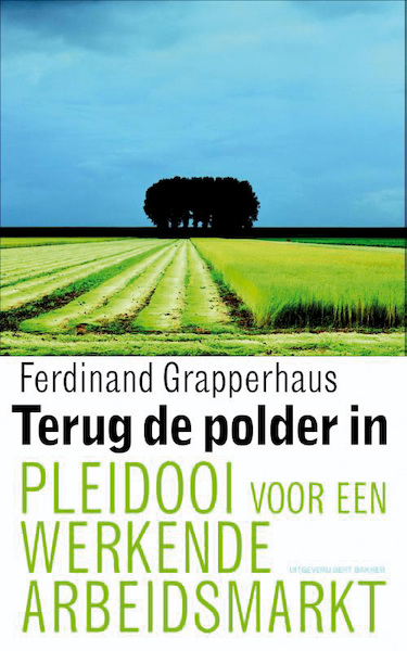 Terug de polder in - Ferdinand Grapperhaus (ISBN 9789035139909)