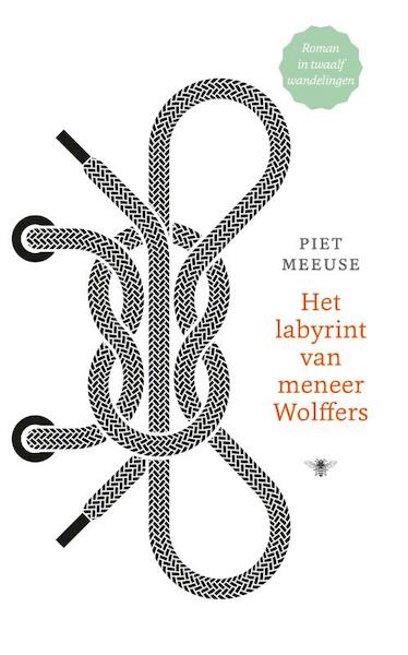 Het labyrint van meneer Wolffers - Piet Meeuse (ISBN 9789023488026)