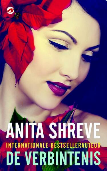 De verbintenis - Anita Shreve (ISBN 9789044971200)