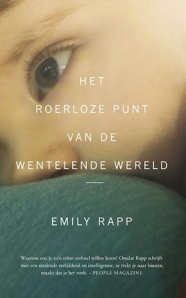 Het roerloze punt van de wentelende wereld - Emily Rapp (ISBN 9789038898773)