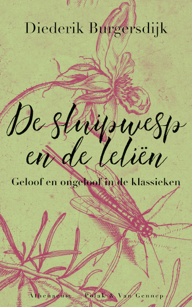 De sluipwesp en de leliën - Diederik Burgersdijk (ISBN 9789025308599)