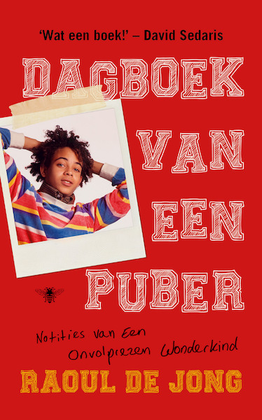 Dagboek van een puber - Raoul de Jong (ISBN 9789403111001)