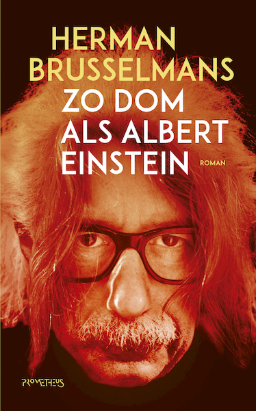 Zo dom als Albert Einstein - Herman Brusselmans (ISBN 9789044640045)