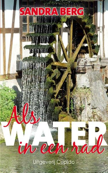 Als water in een rad - Sandra Berg (ISBN 9789462041349)