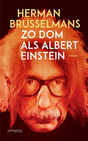 Zo dom als Albert Einstein - Herman Brusselmans (ISBN 9789044640038)