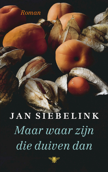 Maar waar zijn die duiven dan - Jan Siebelink (ISBN 9789403183008)
