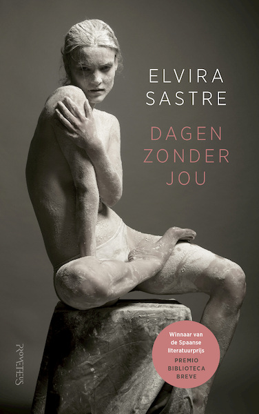 Dagen zonder jou - Elvira Sastre (ISBN 9789044643930)