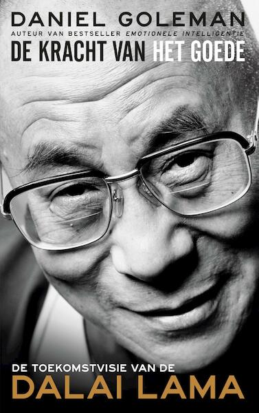 De toekomstvisie van de Dalai Lama - Daniël Goleman (ISBN 9789025904449)