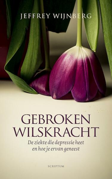 Gebroken wilskracht - Jeffrey Wijnberg (ISBN 9789463190503)