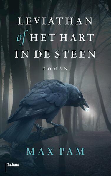 Leviathan of Het hart in de steen - Max Pam (ISBN 9789460034572)