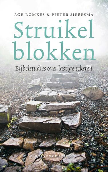 Struikelblokken - Age Romkes, Pieter Siebesma (ISBN 9789023953135)