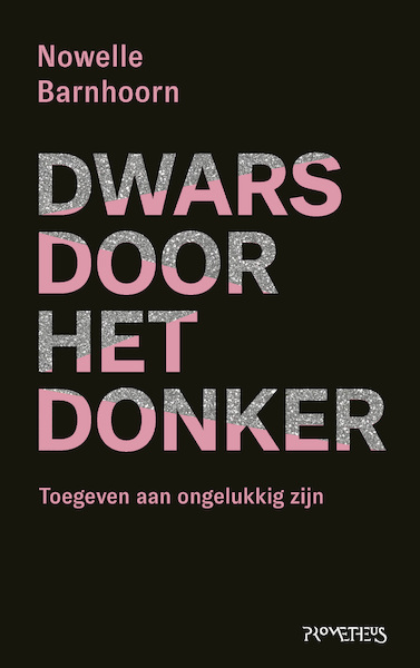 Dwars door het donker - Nowelle Barnhoorn (ISBN 9789044644517)