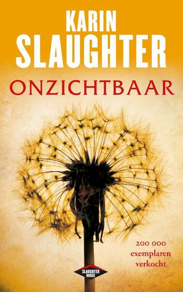 Onzichtbaar - Karin Slaughter (ISBN 9789023474272)