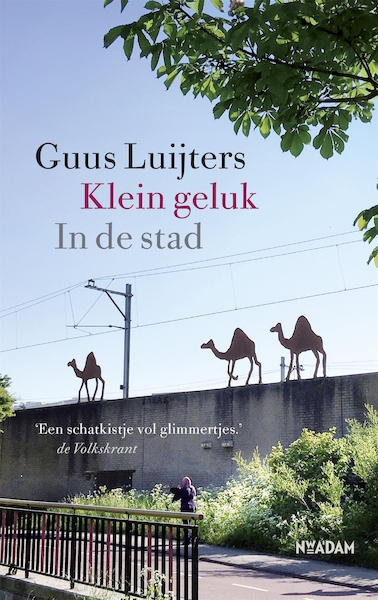 Klein geluk - In de stad - Guus Luijters (ISBN 9789046824450)