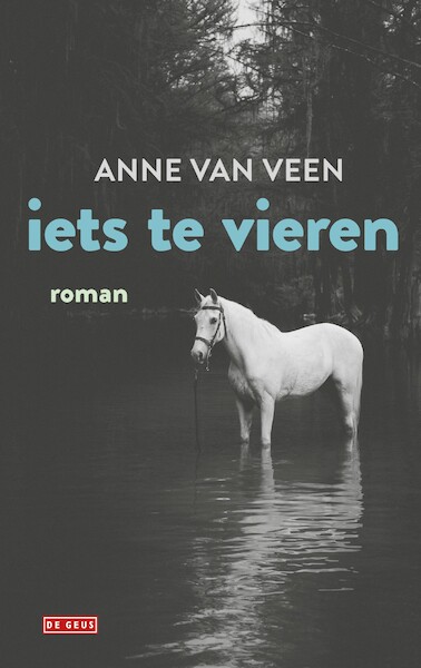 Iets te vieren - Anne van Veen (ISBN 9789044542158)
